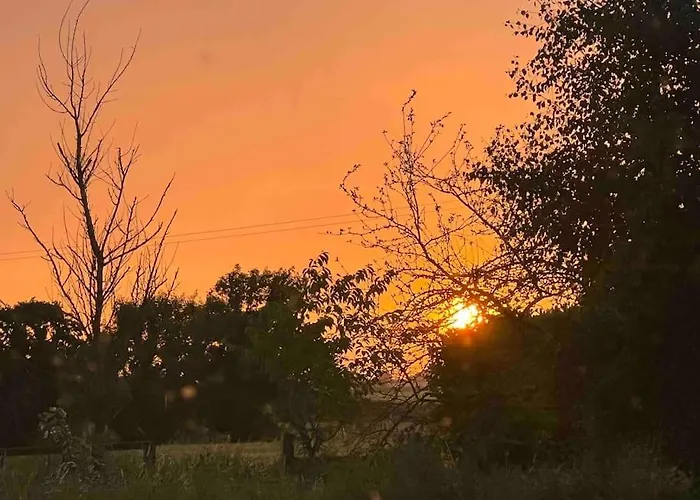 Apartment An Teach Baboige - The Doll House -